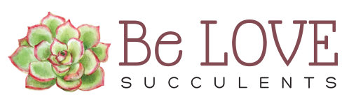 Be LOVE Succulents logo 2