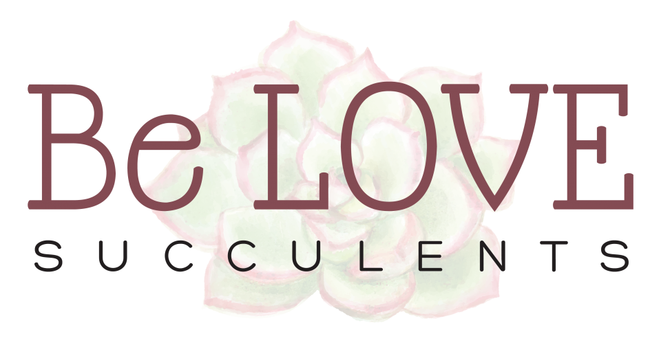 Be LOVE Succulents logo 1