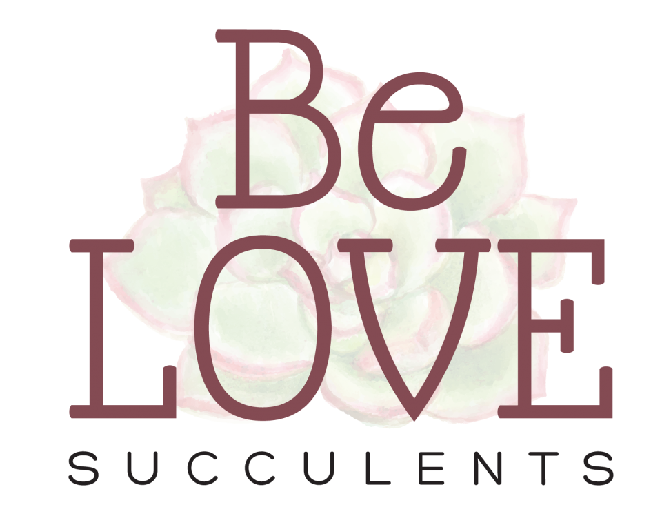 Be LOVE Succulents logo 3