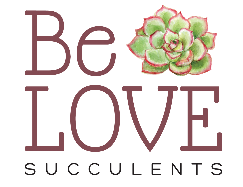Be LOVE Succulents logo 4